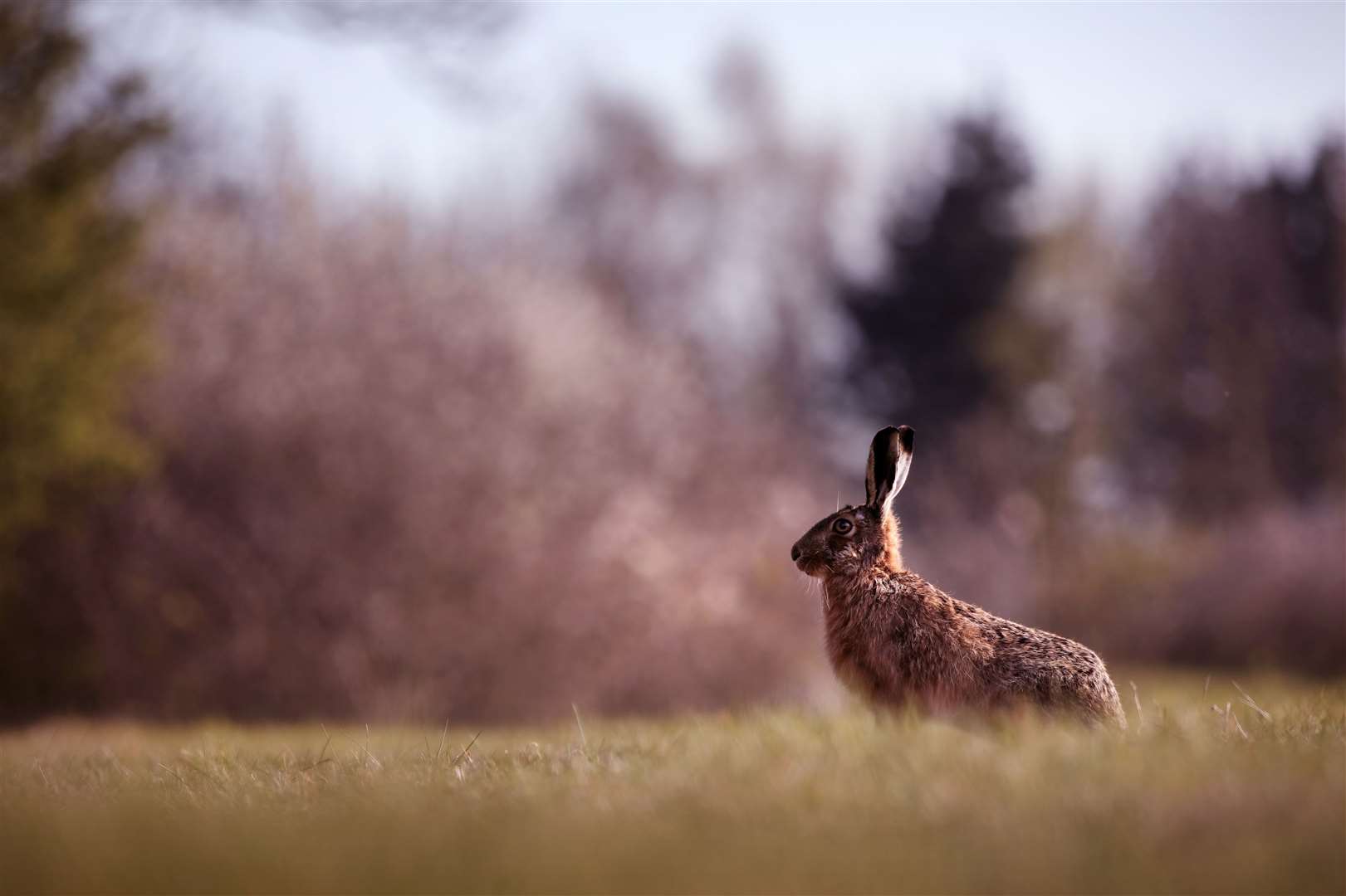 Pagans across Kent celebrate Easter's roots in Ostara rituals