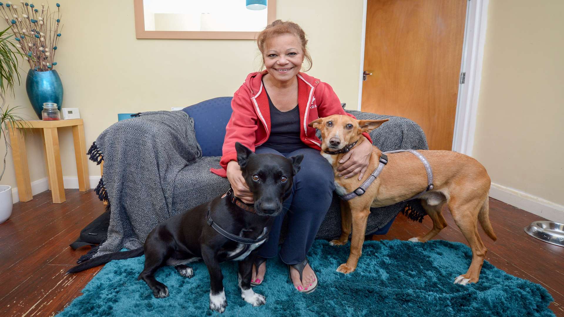 Hillary Barrows and her dogs settle in. Picture: SWNS.