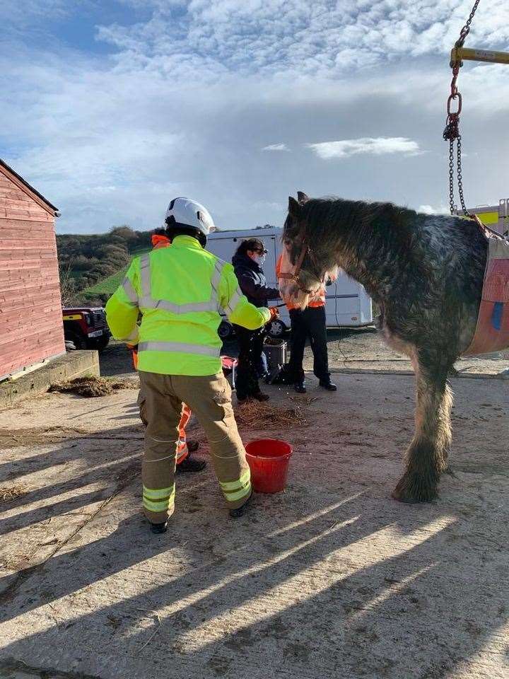 Grace is stabilised by the firefighters. Picture Kent Fire and Rescue Service