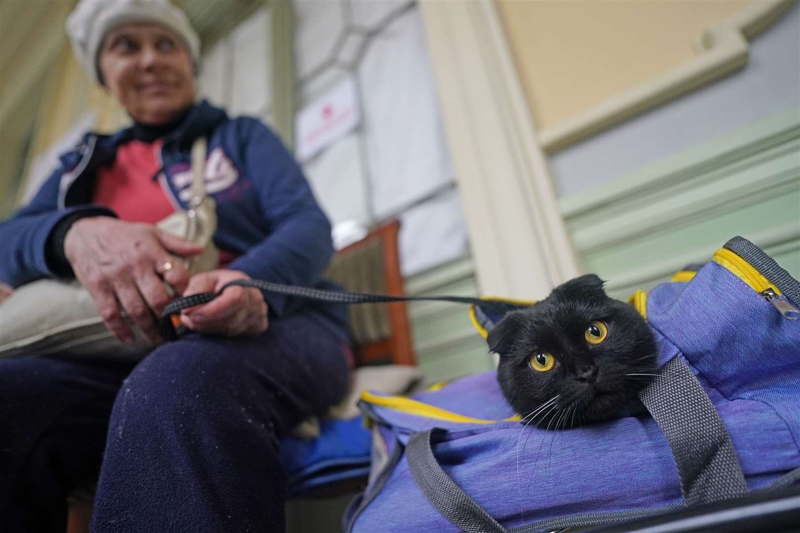 A refugee with their cat at Przemysl train station in Poland (Victoria Jones/PA)