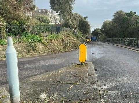 Large sections of trees have been removed by the councils. Picture: Christina Ainsworth