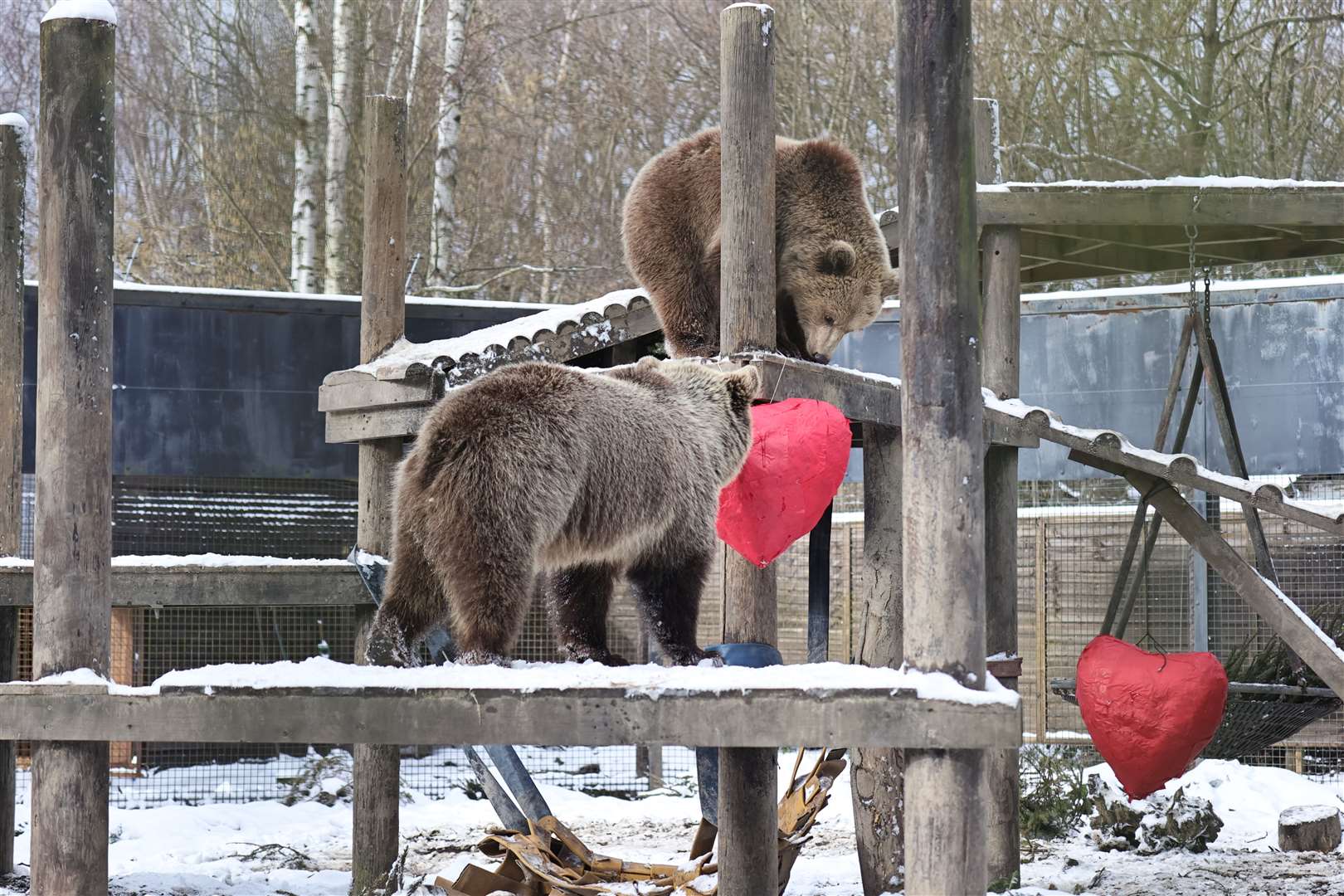 Mish and Lucy with the Valentine's pinatas at Wildwood. Picture: Wildwood