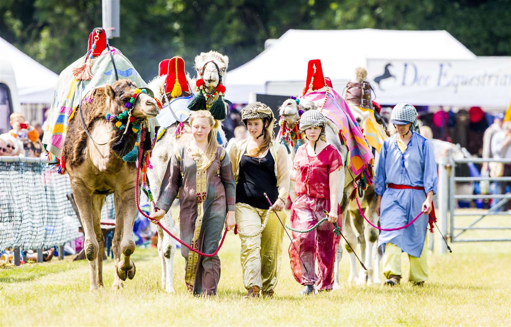 This year's show was to have featured racing camels