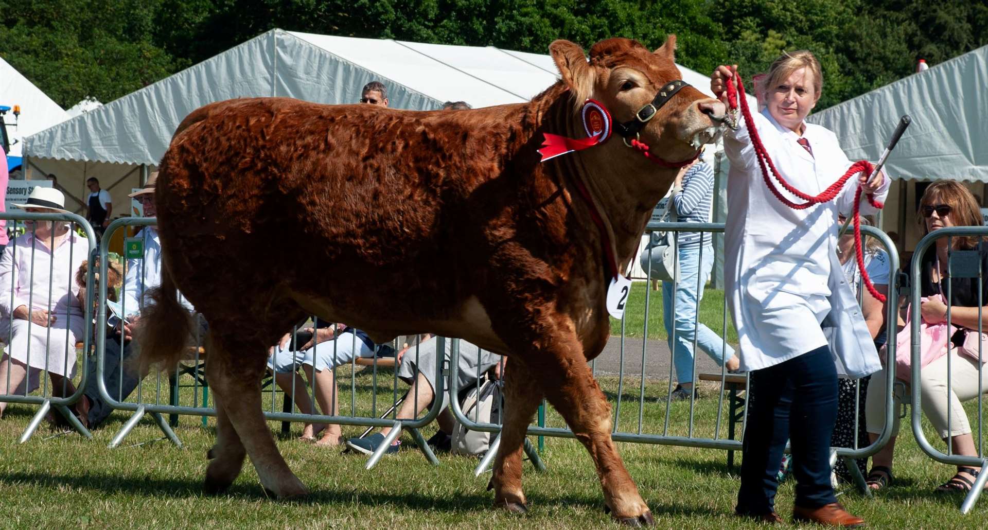 The show has been running for more than 100 years and is one of the biggest summer events in Kent. Picture: Kent County Agricultural Society