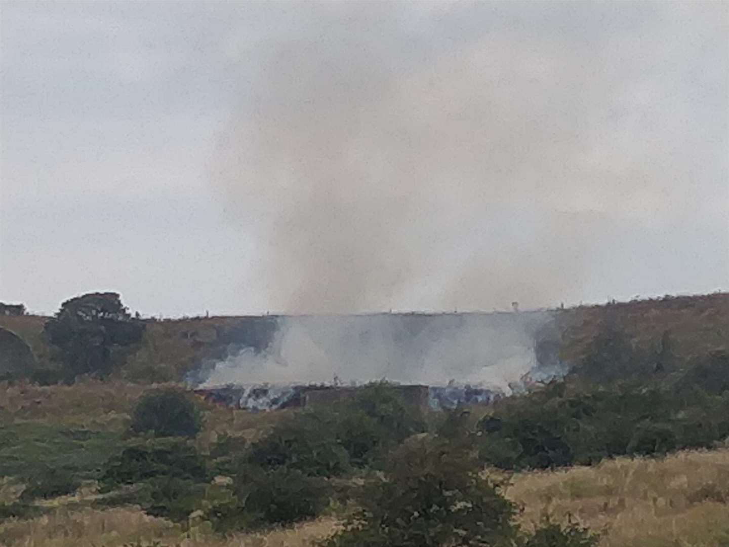 West Hythe grass fire. Picture: Dan Desborough