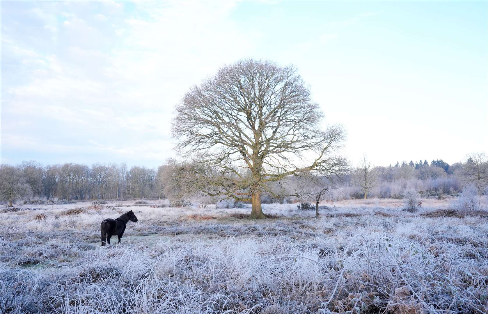 The UK Health Security Agency has extended its cold weather health alert for all of England until Sunday (Gareth Fuller/PA)