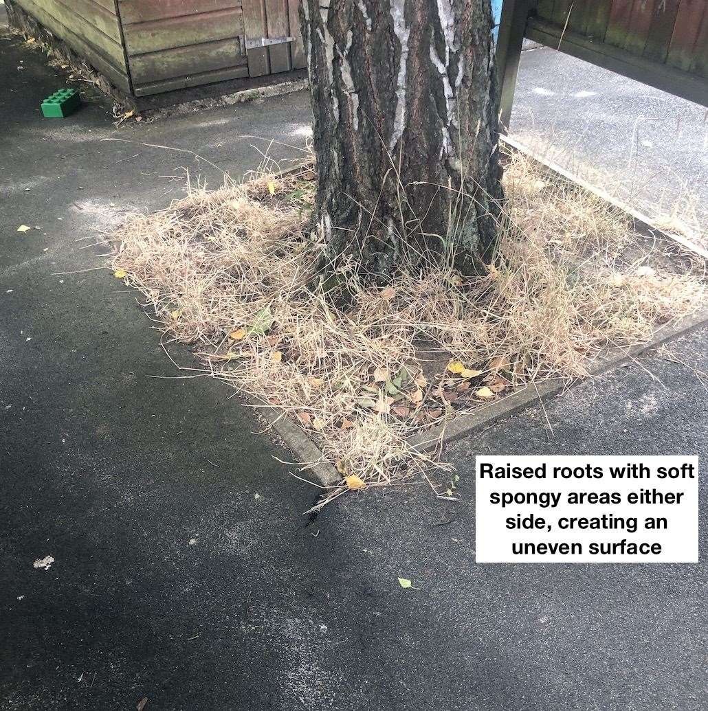 A tree damaging the playground surface