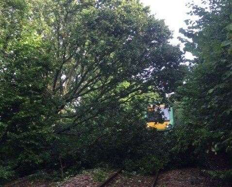 Teams are working to remove a tree blocking the line Pic: Southern Rail (15358796)
