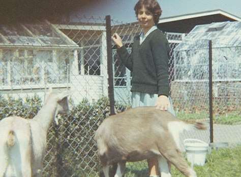 The last goat left the farm in 1986. Picture courtesy of Emily Huddle