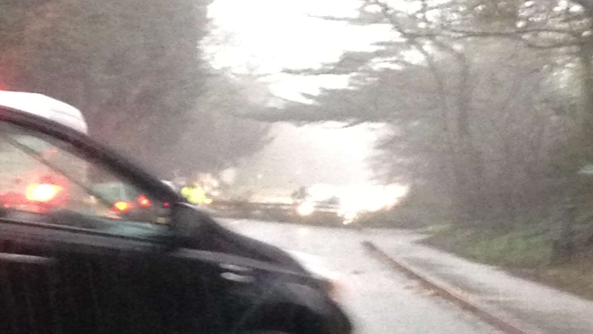 A fallen tree is blocking Hermitage Lane