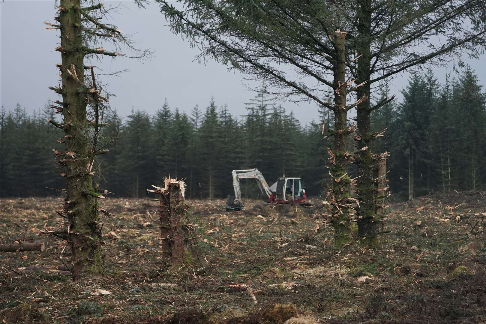 A vertical mulcher is used to clear trees during the restoration of the ancient Border Mires near Kielder Water in Northumberland (Owen Humphreys/PA)