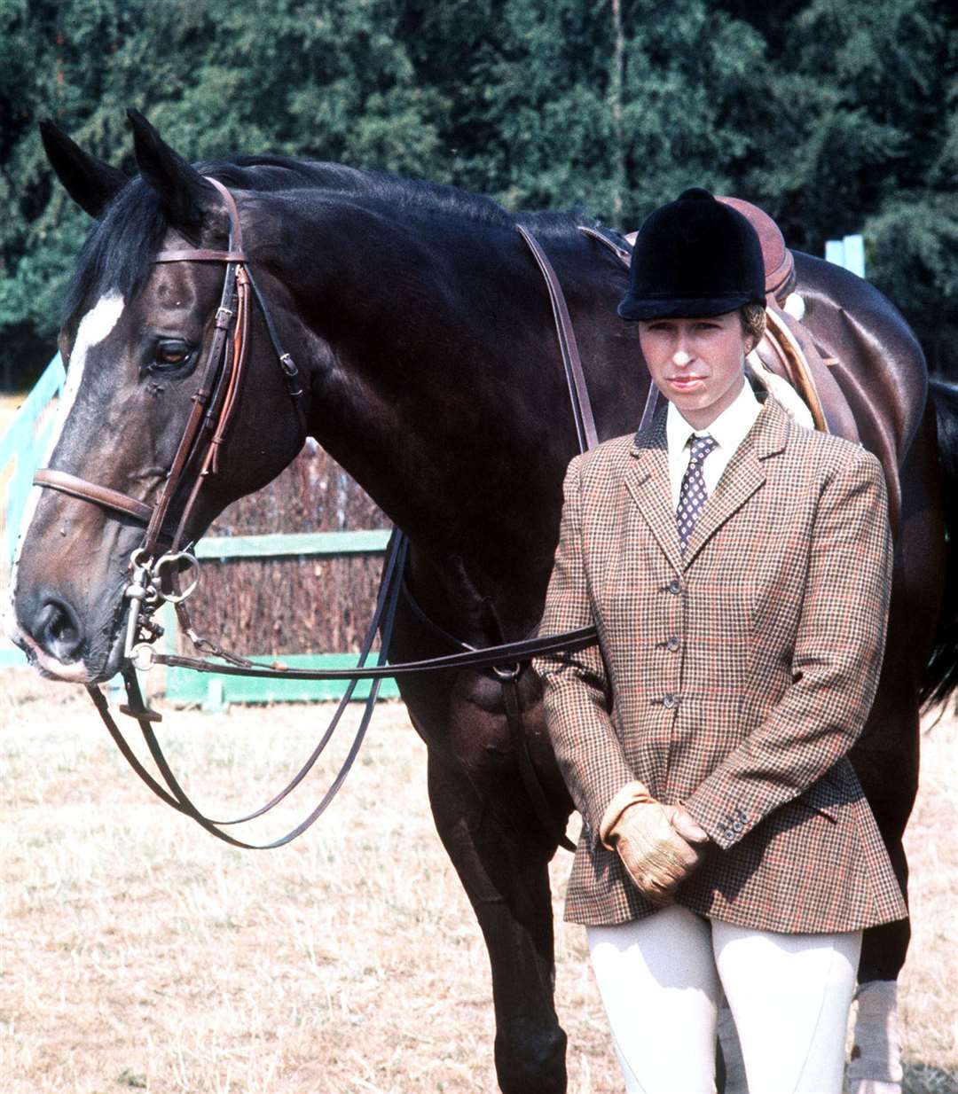 Anne with the Queen’s horse, Goodwill, during a break in training with the British Olympic team ahead of the Montreal Games (PA)