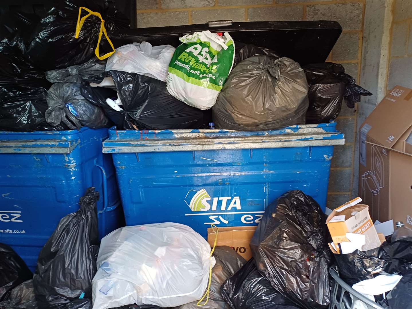 Overflowing communal bins in Clifford Way, Maidstone