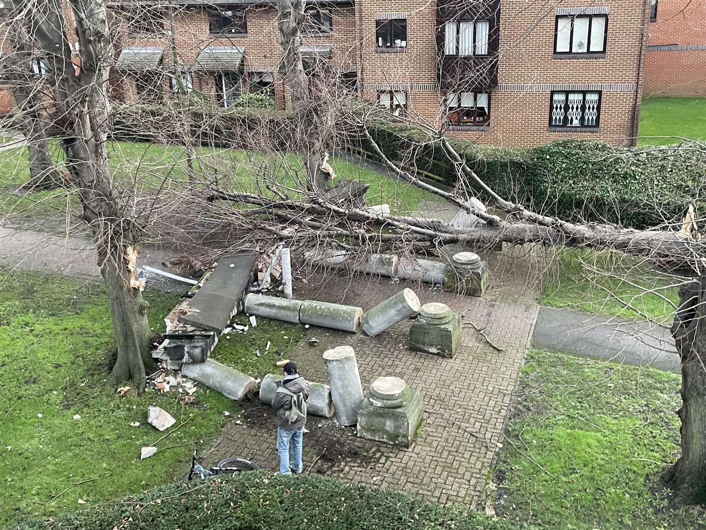 A tree was blown over by the wind in Tooting, south west London (Richard Wheeler/PA)