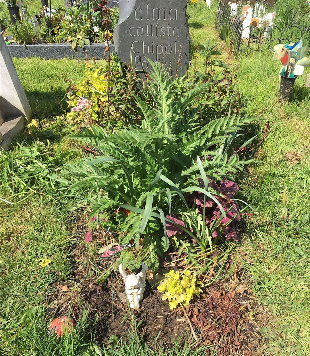 When Joanne visited the cemetery a plaque had been removed