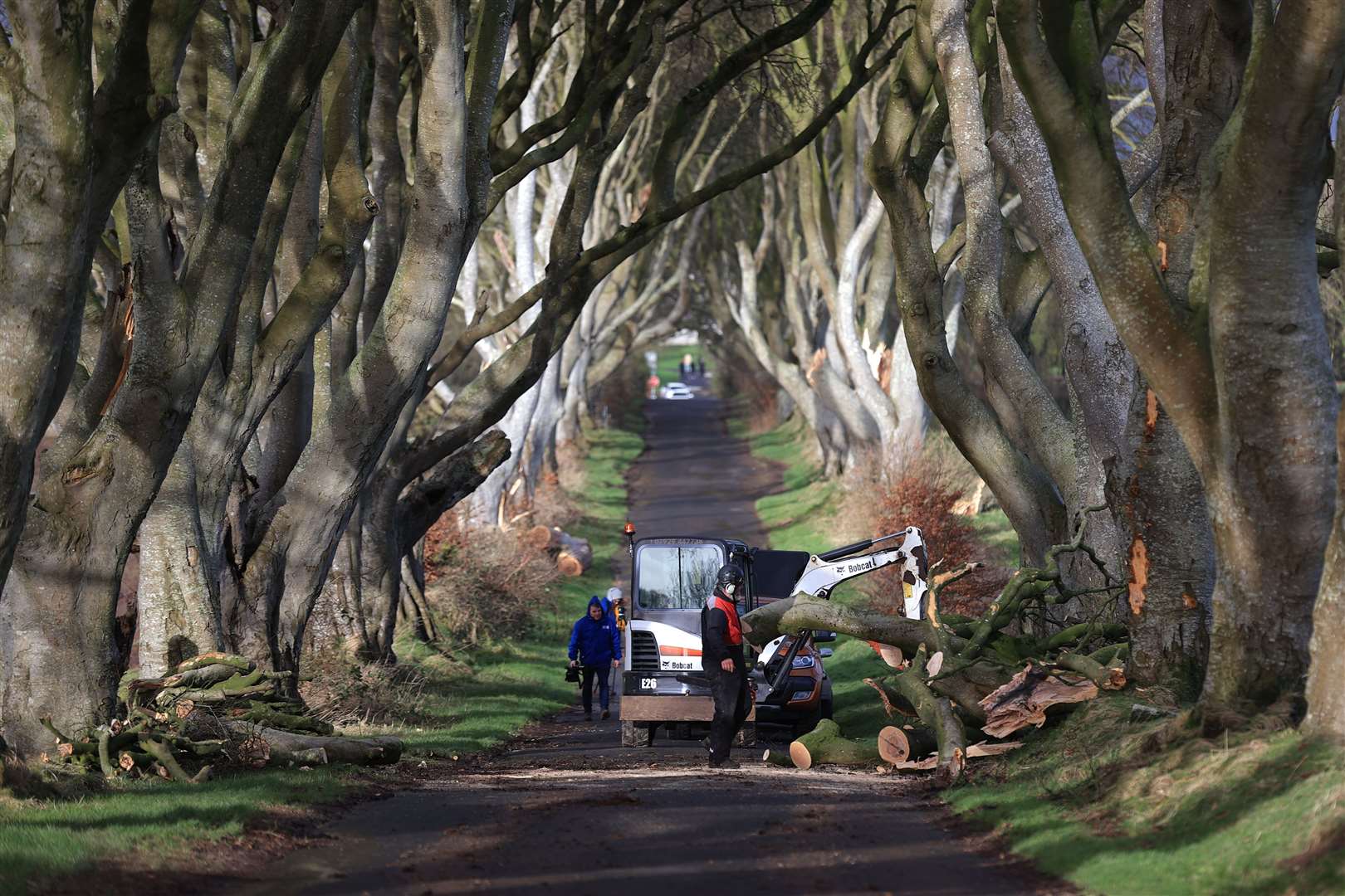 Workmen continue their clear-up as a number of trees in Northern Ireland made famous by the TV series Game Of Thrones have been damaged and felled by Storm Isha (Liam McBurney/PA)