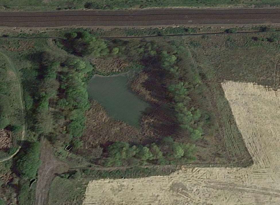 The lake, near Halls Avenue, that the dogs fell into. Credit: Google Maps