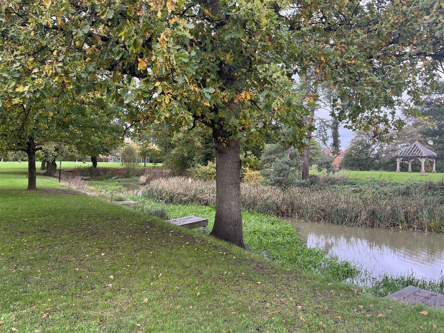 A petition has been set up in a bid to save the moat in Park Farm