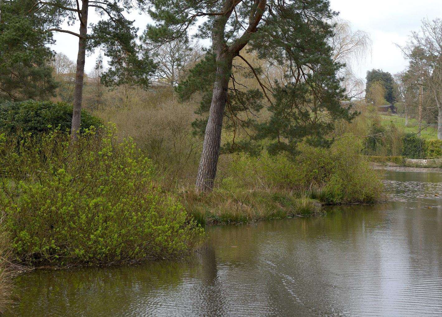 The River Darent runs through Lullingstone Country Park