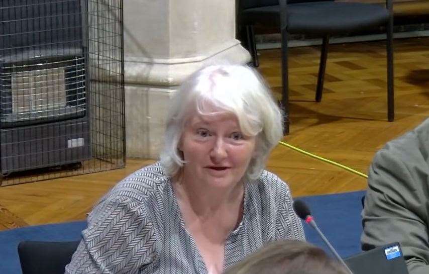 Cllr Zoe Van Dyke said discussions were underway about raising revenue through the sale of council-owned properties