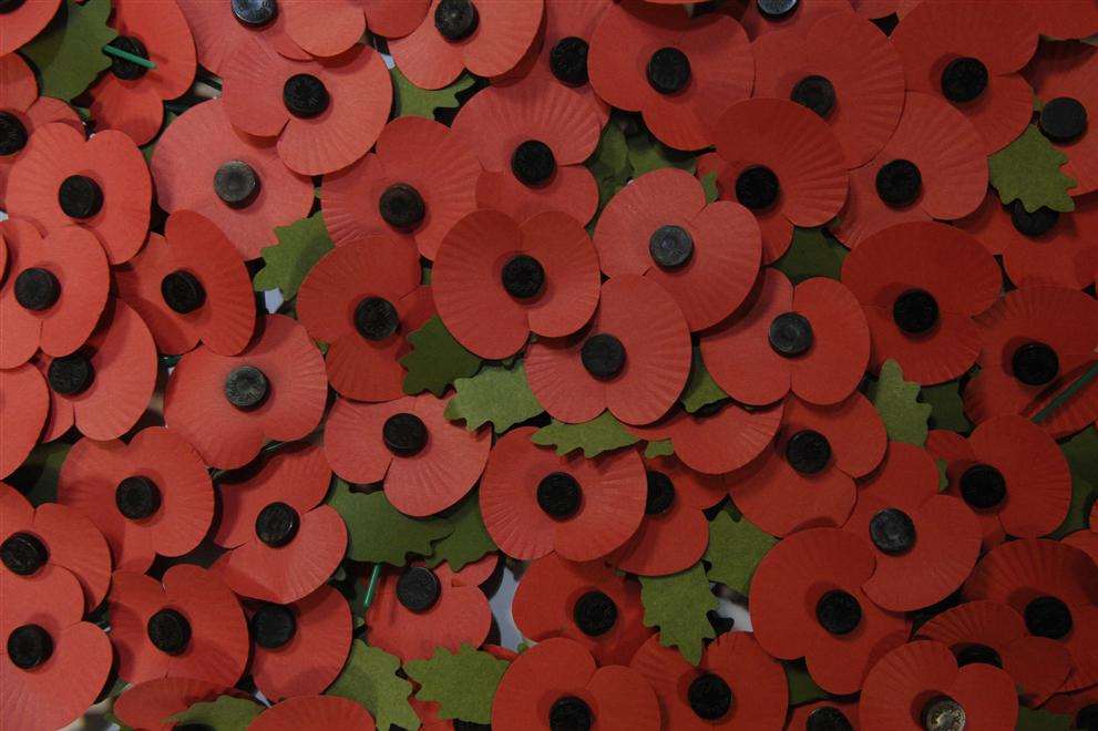 Remembrance poppies