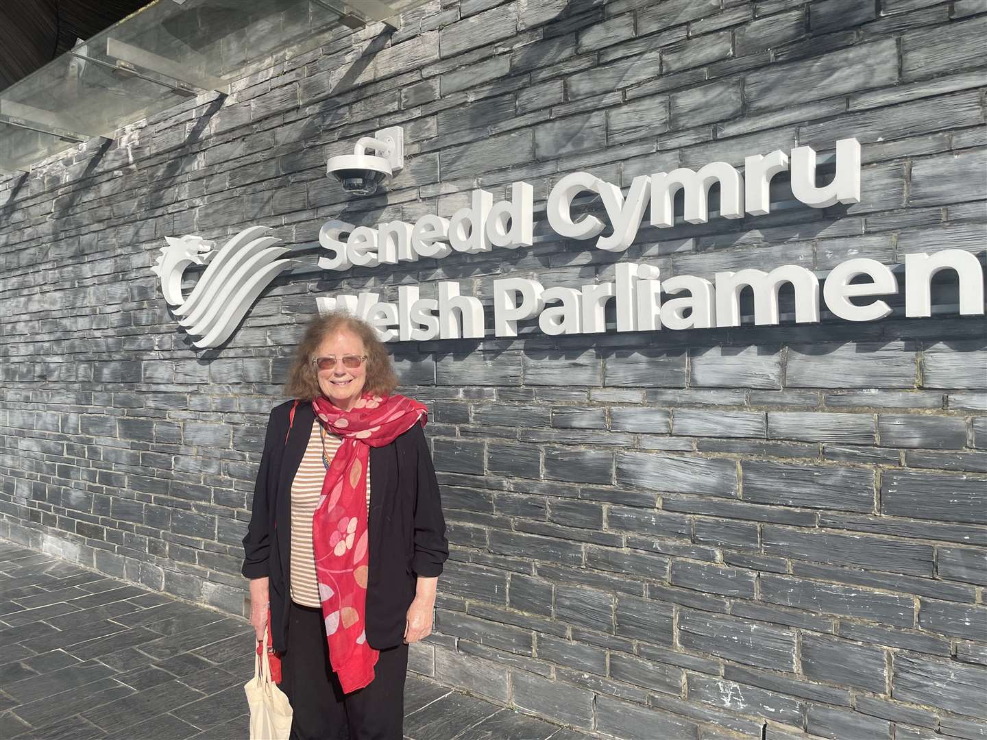 Julie Morgan, the member of the Senedd for Cardiff North, who brought forward the motion (George Thompson/PA)