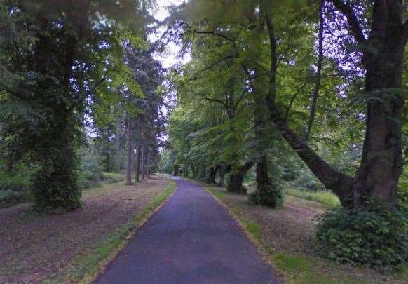 Two Yorkshire Terriers were killed last October in Thetford Forest. Picture: Google Maps