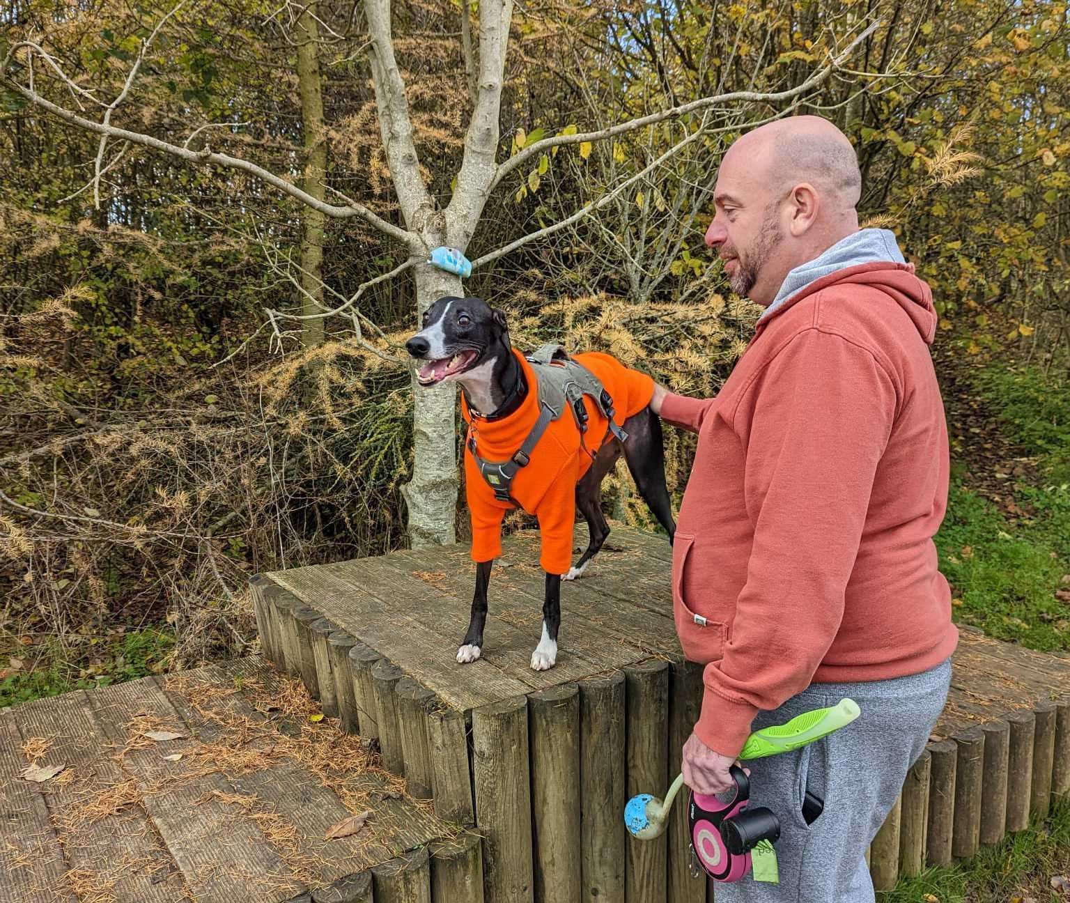 Alan Robinson - with Willow the whippet - is behind the amazing light display