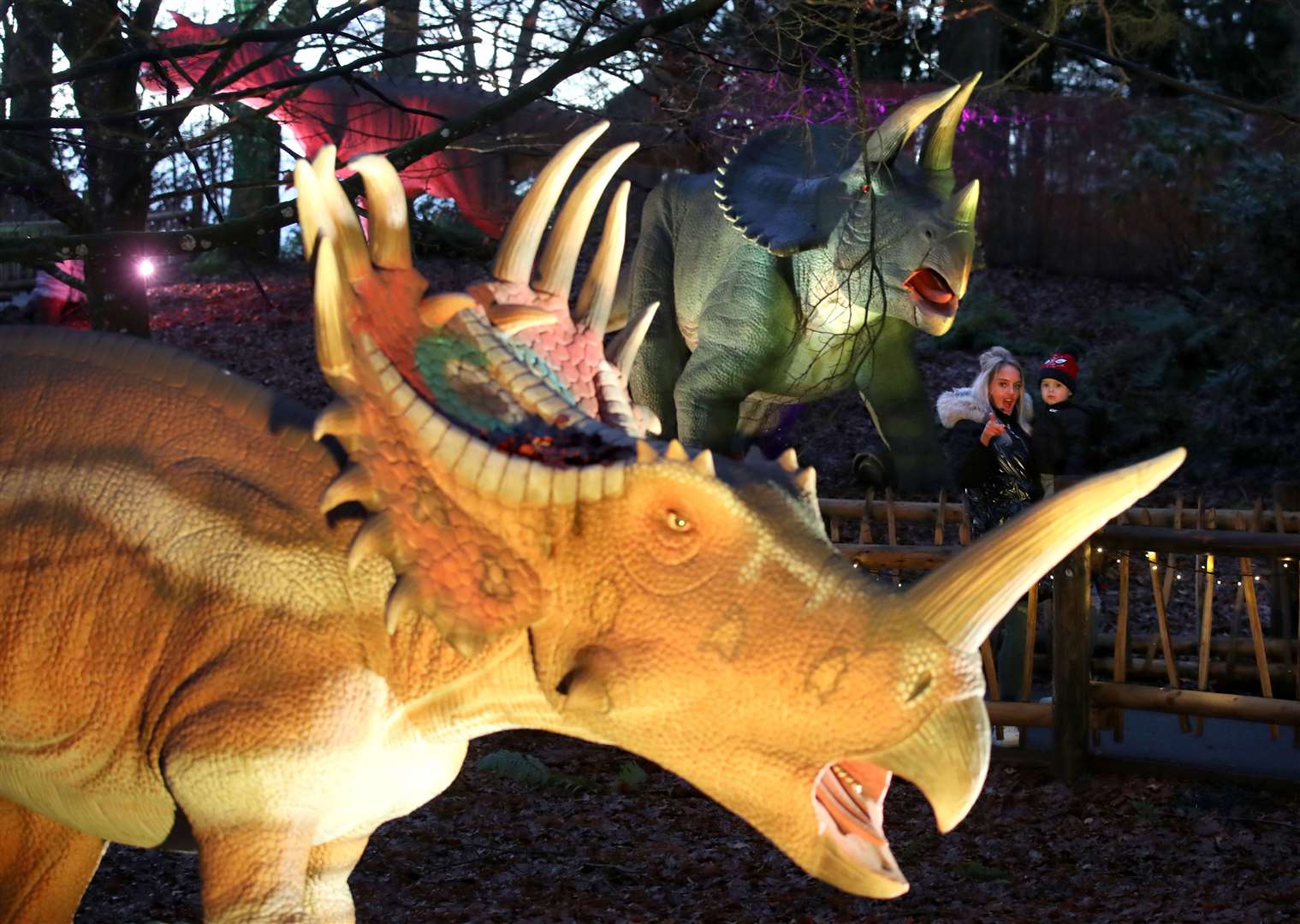 Visitors Lindsay Campbell and her son Junior, three, enjoy the flood-lit dinosaurs (Andrew Milligan/PA)