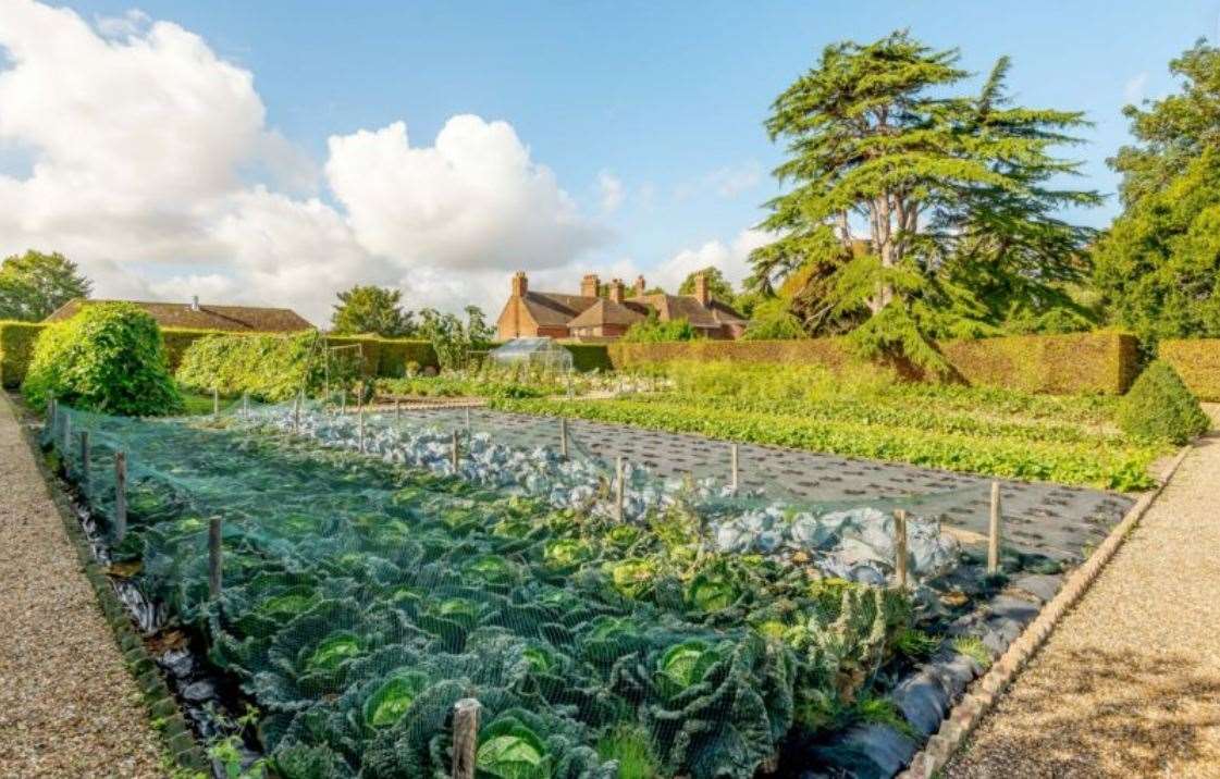 The cottage garden at Read's which supplies produce for the restaurant