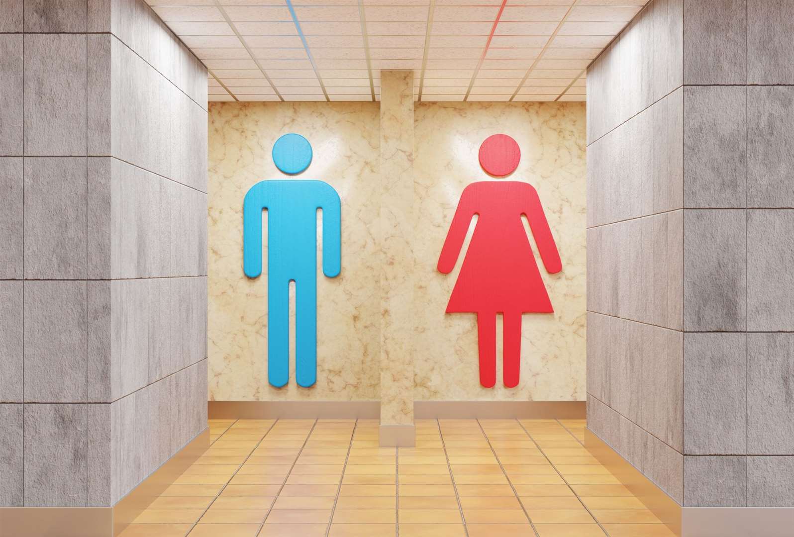 Would paying for public toilets protect facilities? Image: istock/Dragon Claws.