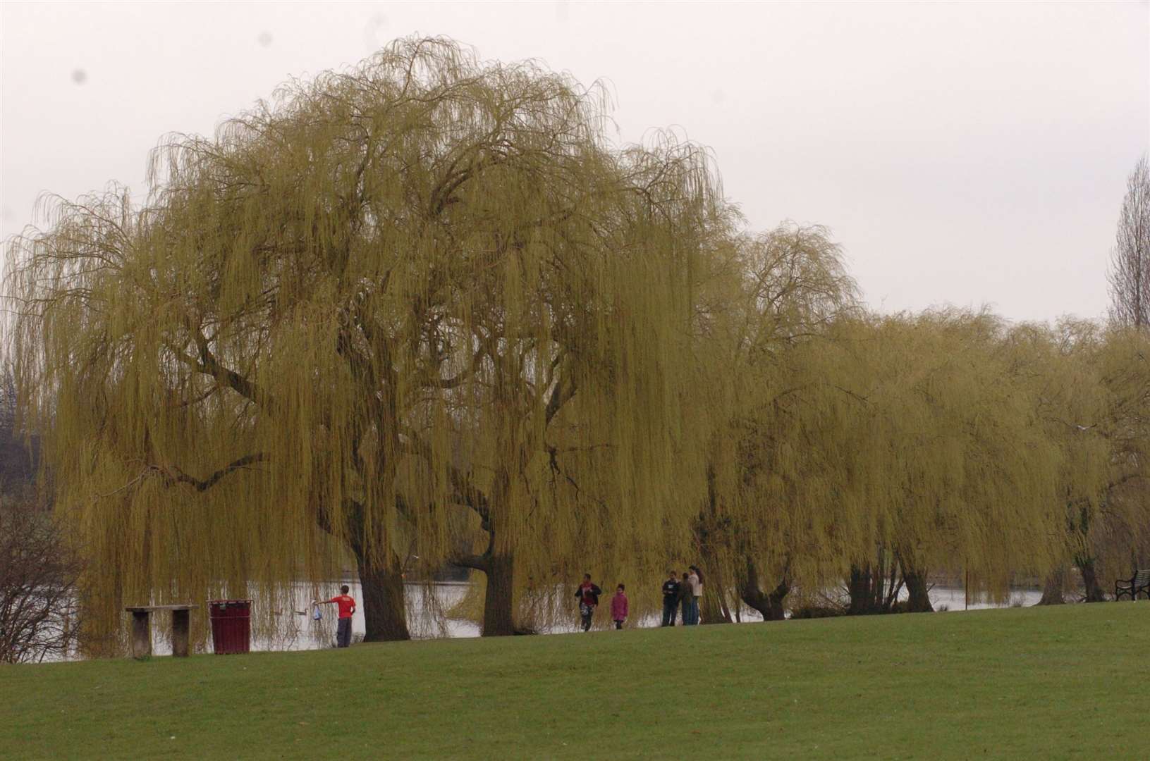 Emergency services were called to Danson park in Bexleyheath this afternoon. Picture by Steve Crispe