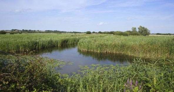 Stodmarsh Nature Reserve