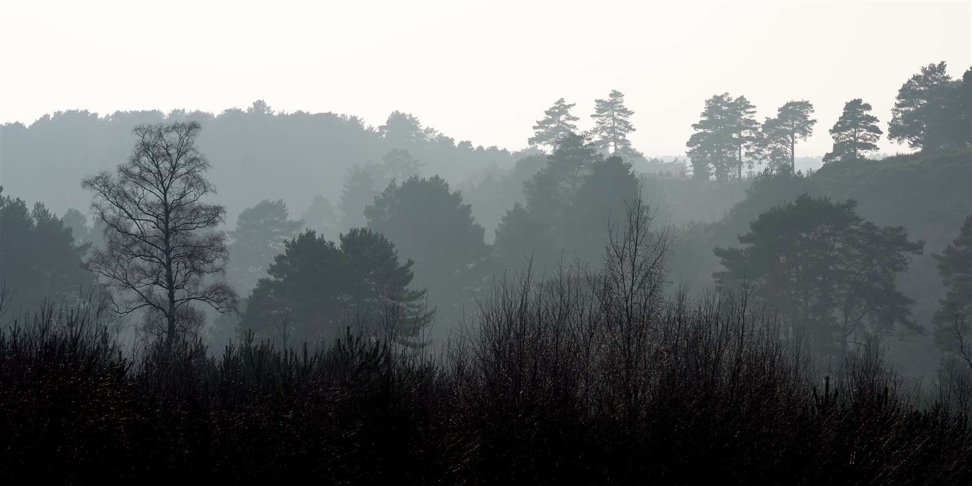 More outdoors teaching has been urged (John Walton/PA)