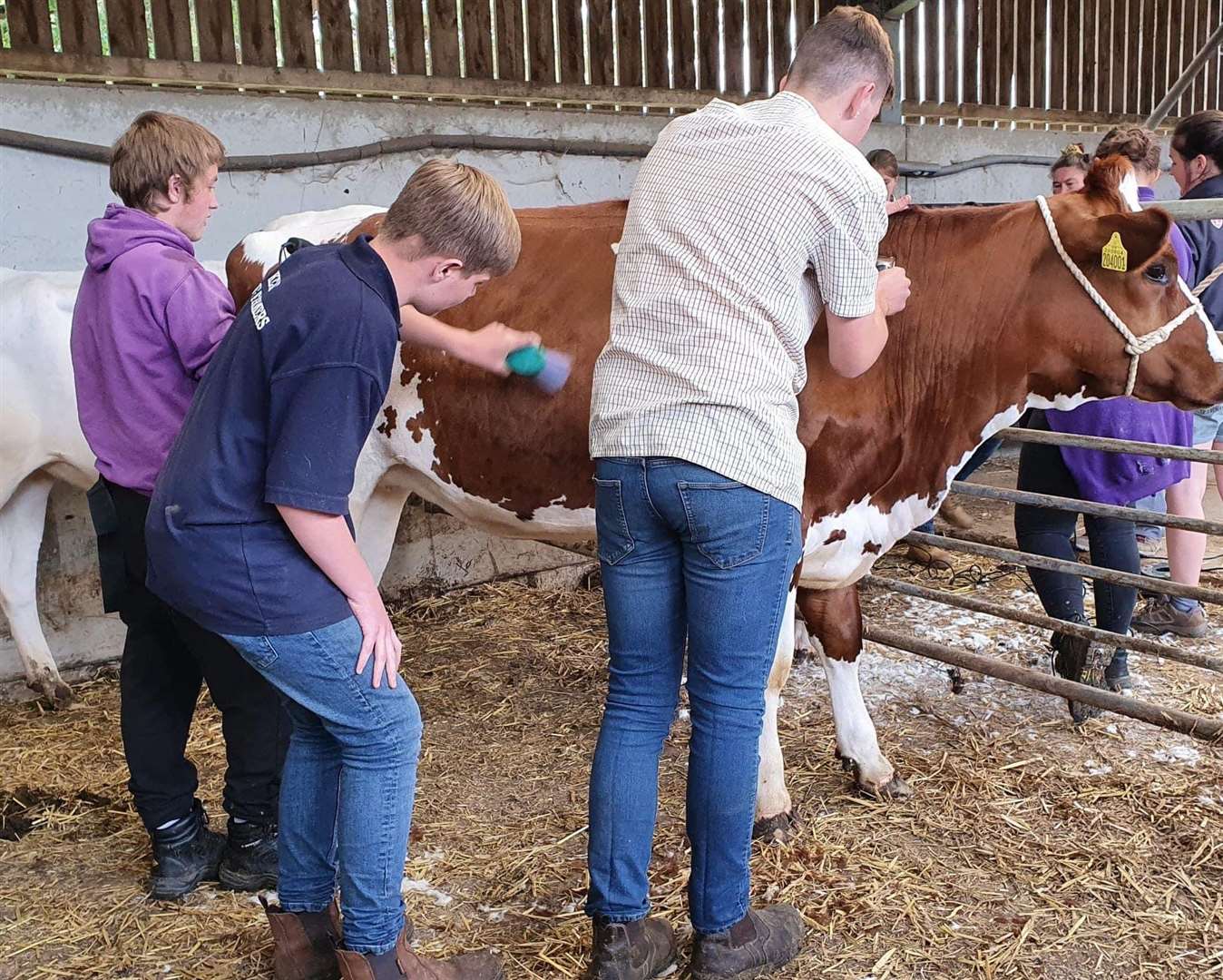 If the group don't find a new home they could be forced to re-home some of their flock which includes 15 sheep and lambs