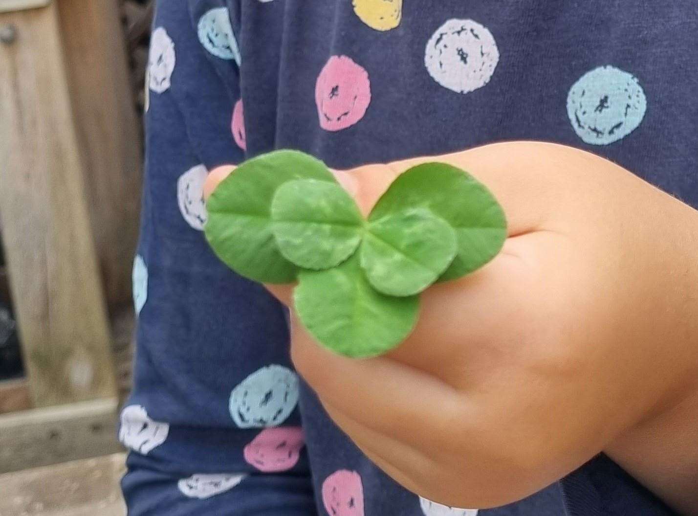 Woman in Disbelief After Finding Incredibly Rare Four-Leaf Clover: 'Luck