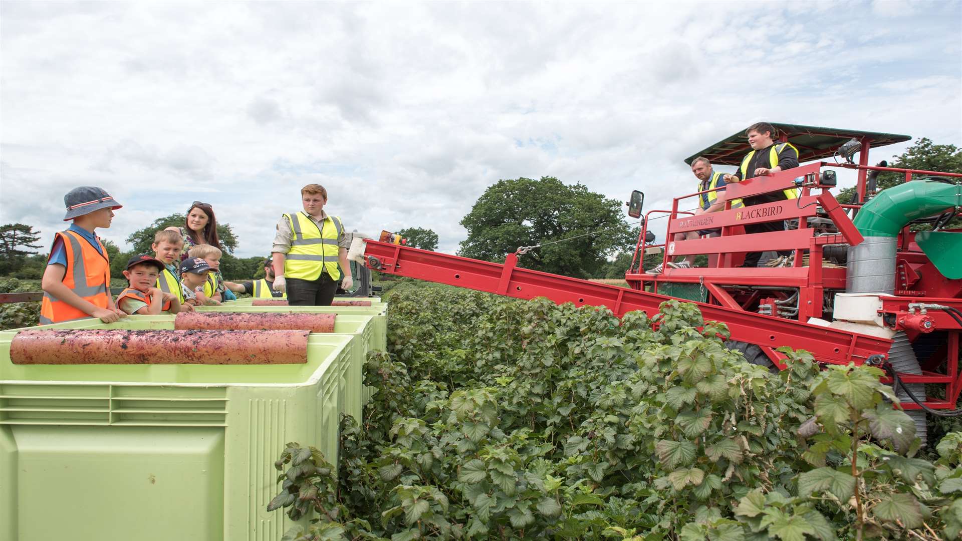 Watch the harvest happen