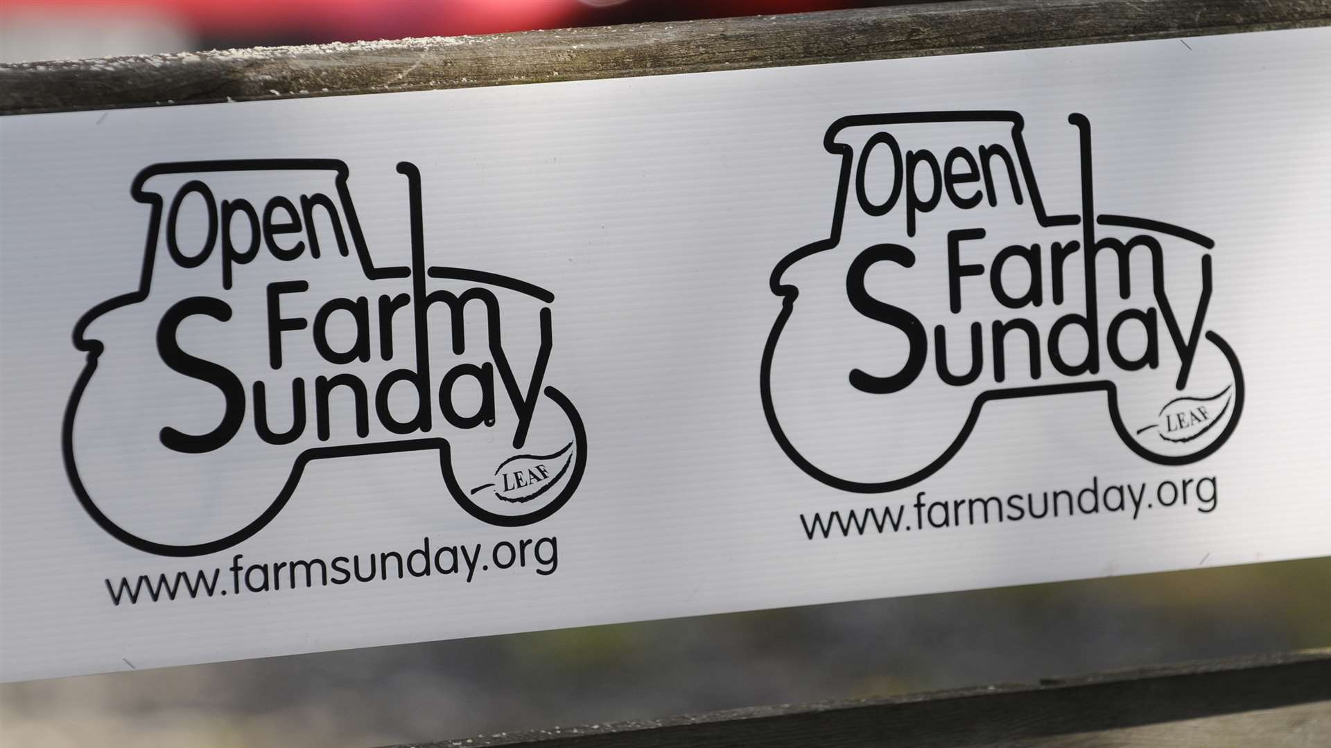 Open Farm Sunday is this weekend