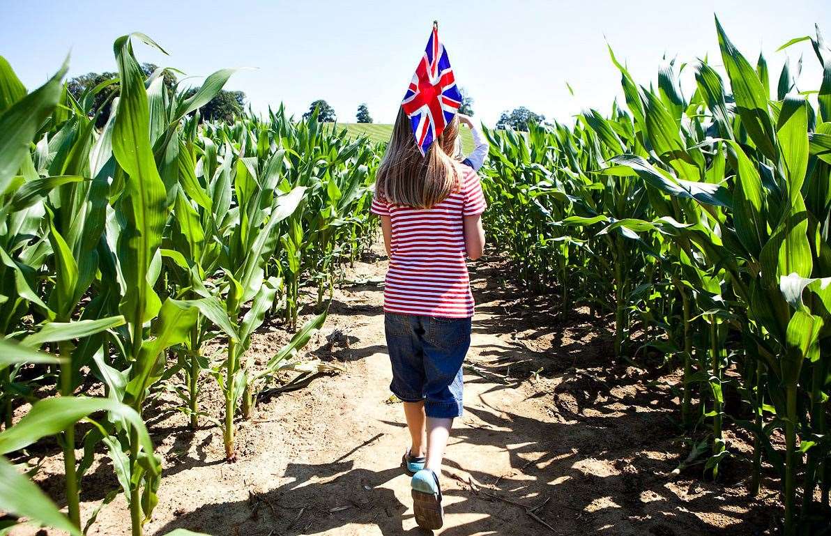 The Maize Maze has opened at Penshurst Place for the summer