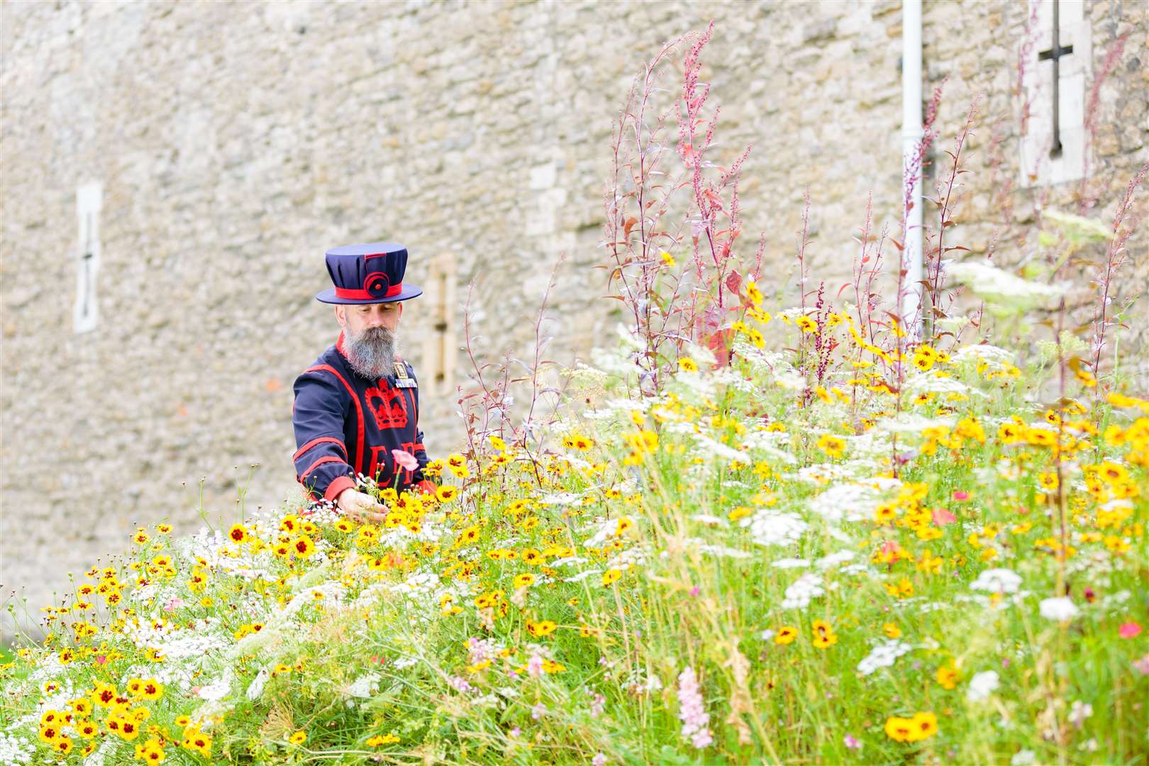 The Tower of London will be surrounded by a field of millions of colourful flowers for the Jubilee (Richard Lea-Hair/Historic Royal Palaces/PA)