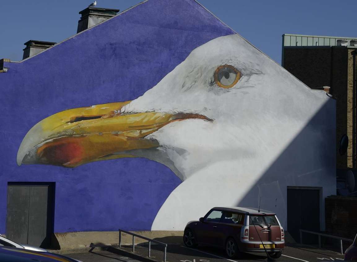 seagull mural