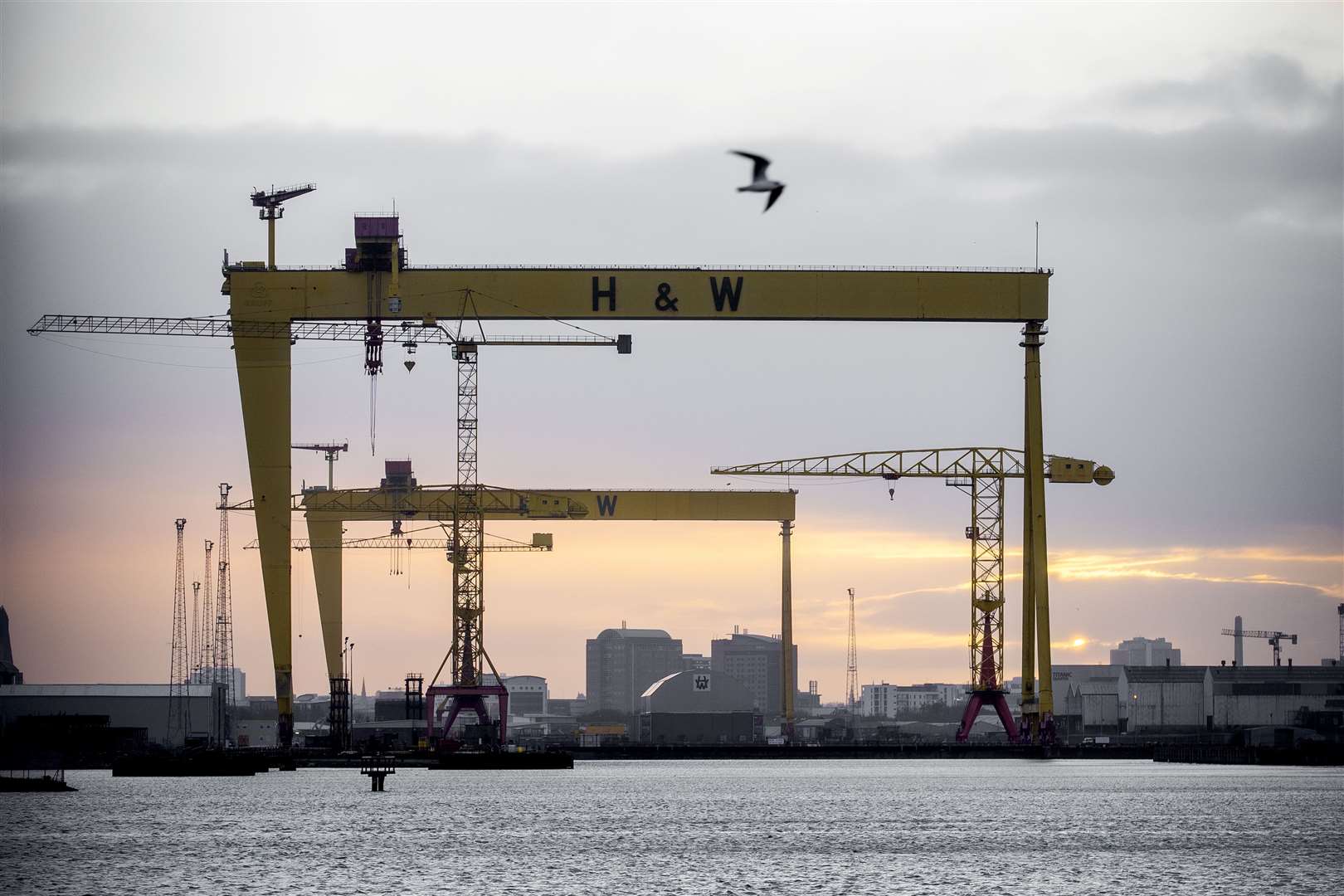 The Harland and Wolff cranes in Belfast (Liam McBurney/PA)