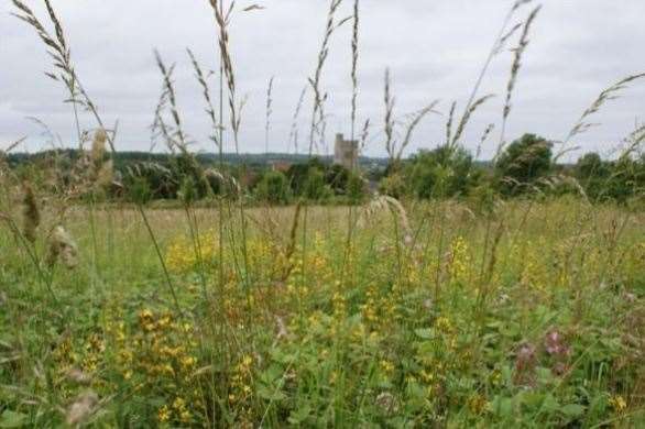 Teers Meadow