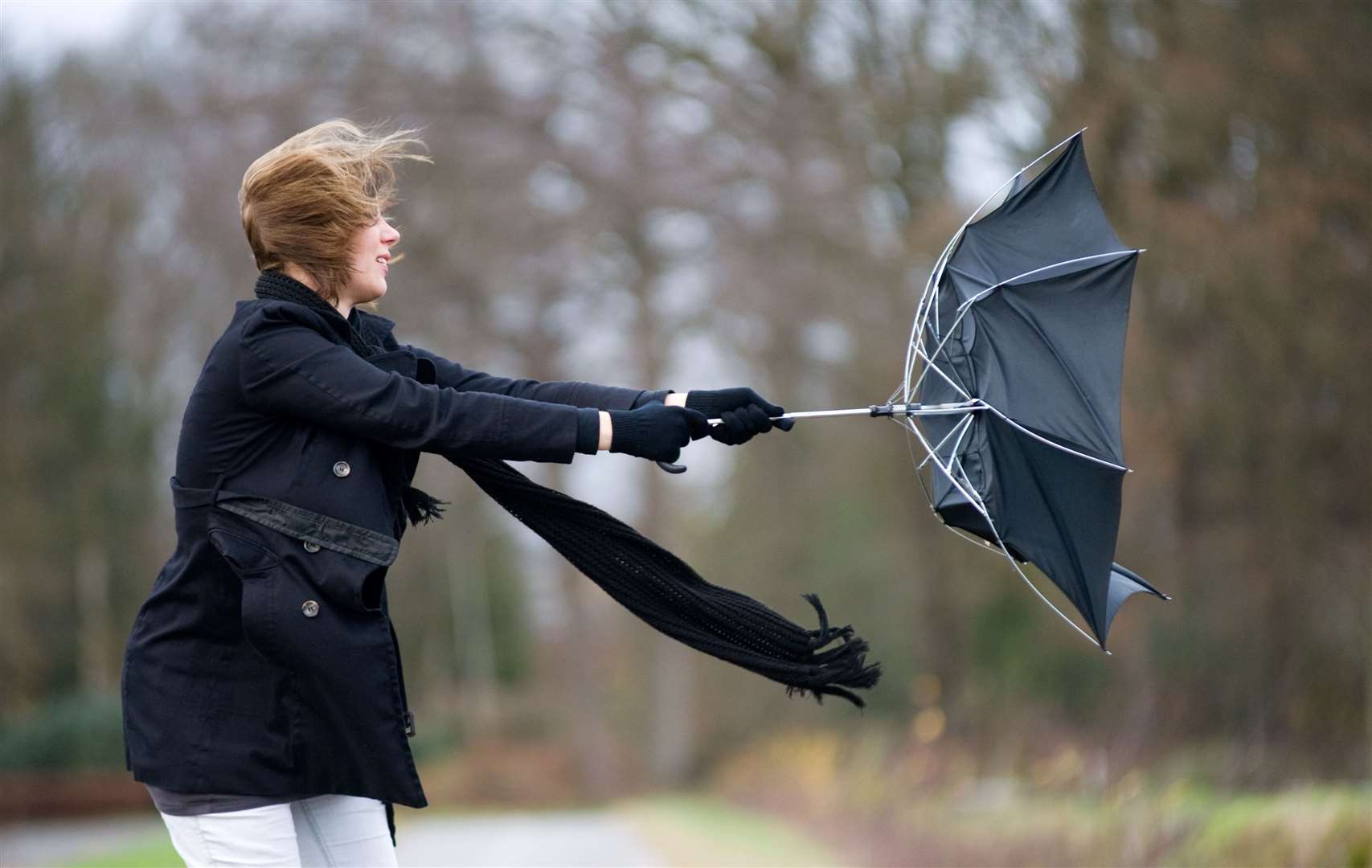 Storm Bert is bringing a second day of high winds across Kent. Stock picture