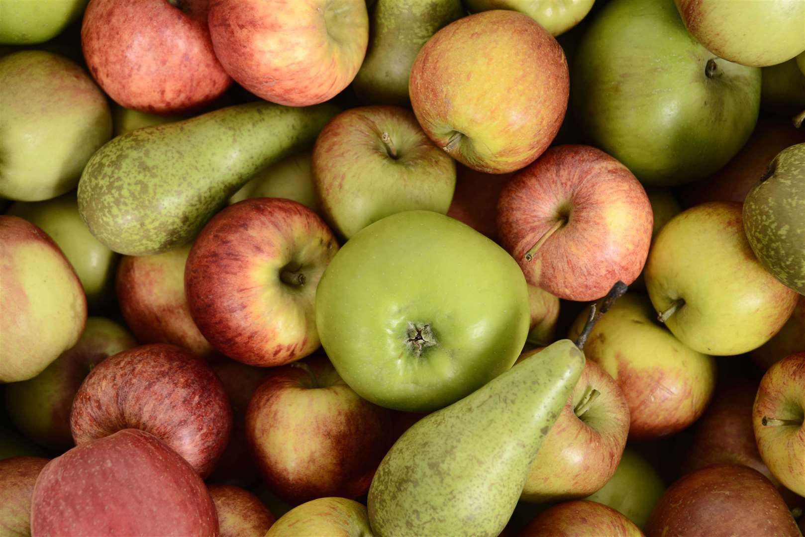 AC Goatham & Son farm millions of apples and pears each year