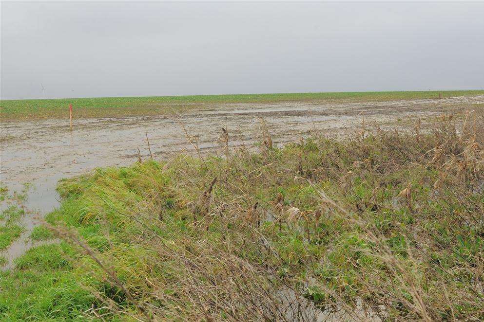 South Lees Farm, Lower Road, Minster