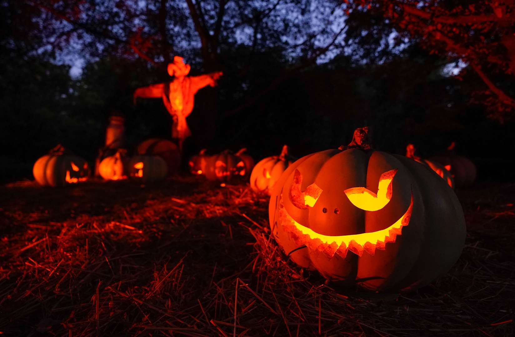 Pumpkins in the Possessed Pumpkin Farm on the Halloween trail at the Royal Botanic Gardens, Kew, in London (Andrew Matthews/PA)