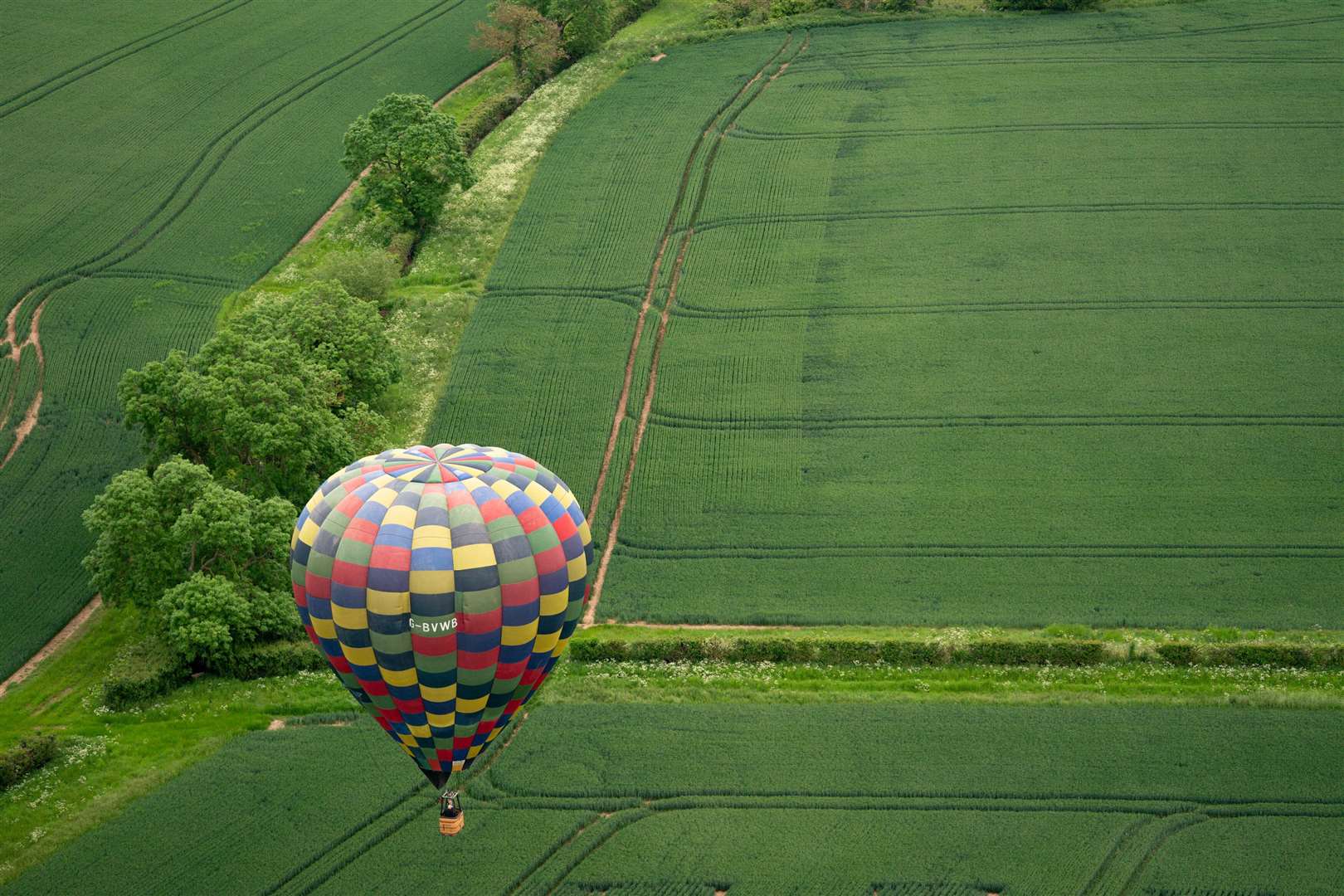 More than 100 balloons were due at the event (Jacob King/PA)