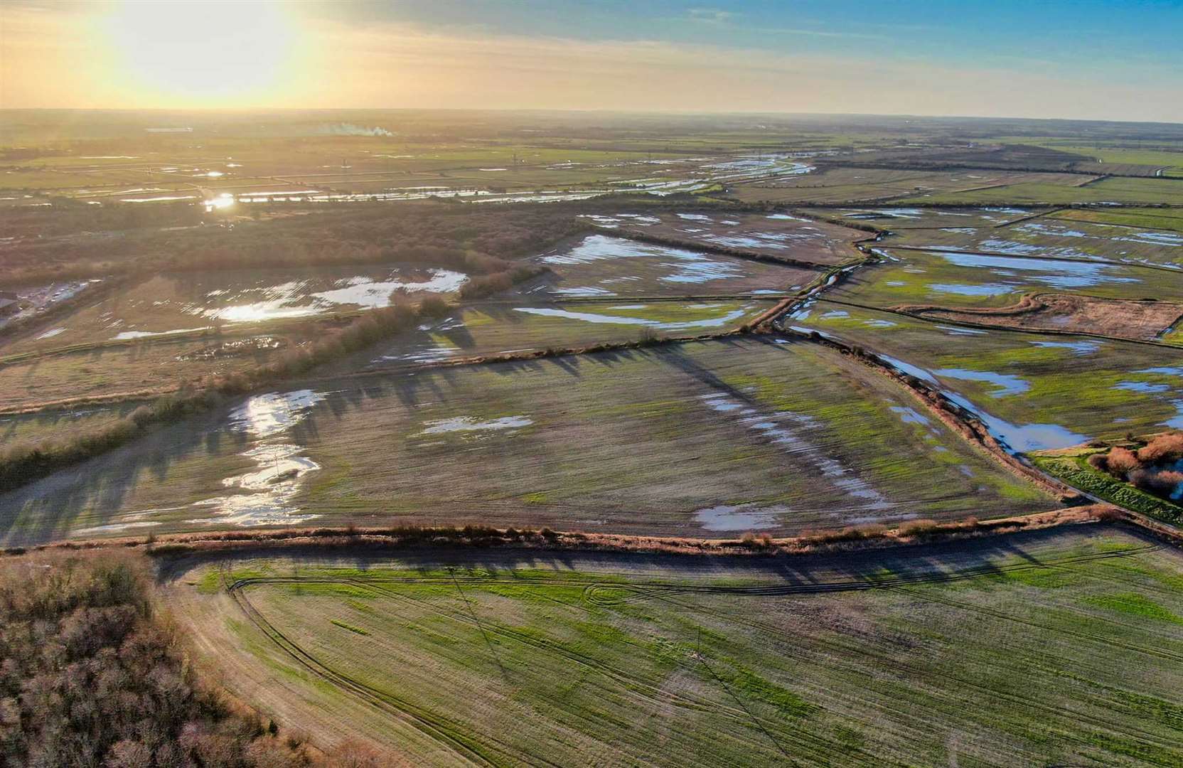 Minster Marshes is a haven for wildlife. Picture: Nik Mitchell