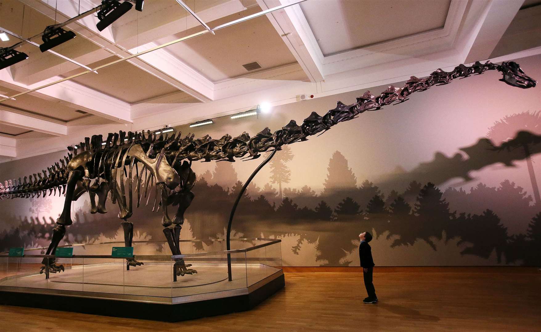 During Dippy’s tour of the UK, it travelled to various venues including the Ulster Museum in Belfast (Brian Lawless/PA)